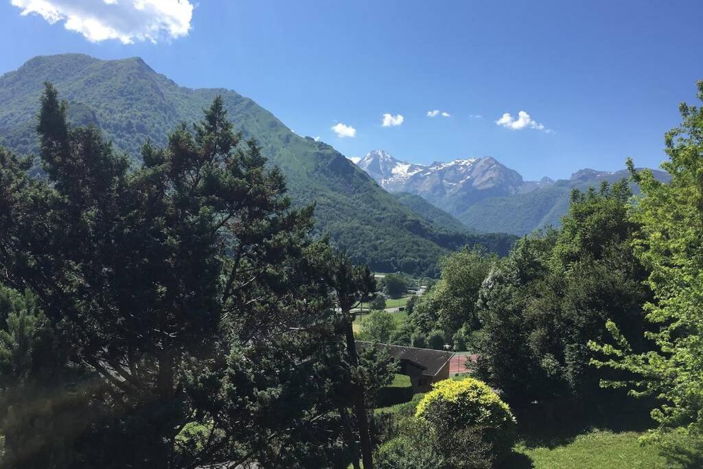 Chalet De L'Ours Brun, Gite 3 Etoiles Gere-Belesten Bagian luar foto